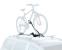   Thule Proride 591 (  591)
