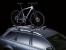    Thule Proride 591 (  591)