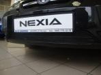Защитная решетка радиатора Daewoo Nexia 2010 (Дэу Нексия) низ черная