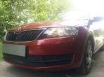    Skoda Rapid ( )  .