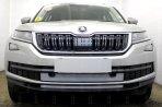   Skoda Kodiaq 2016- chrome  (2 ) 